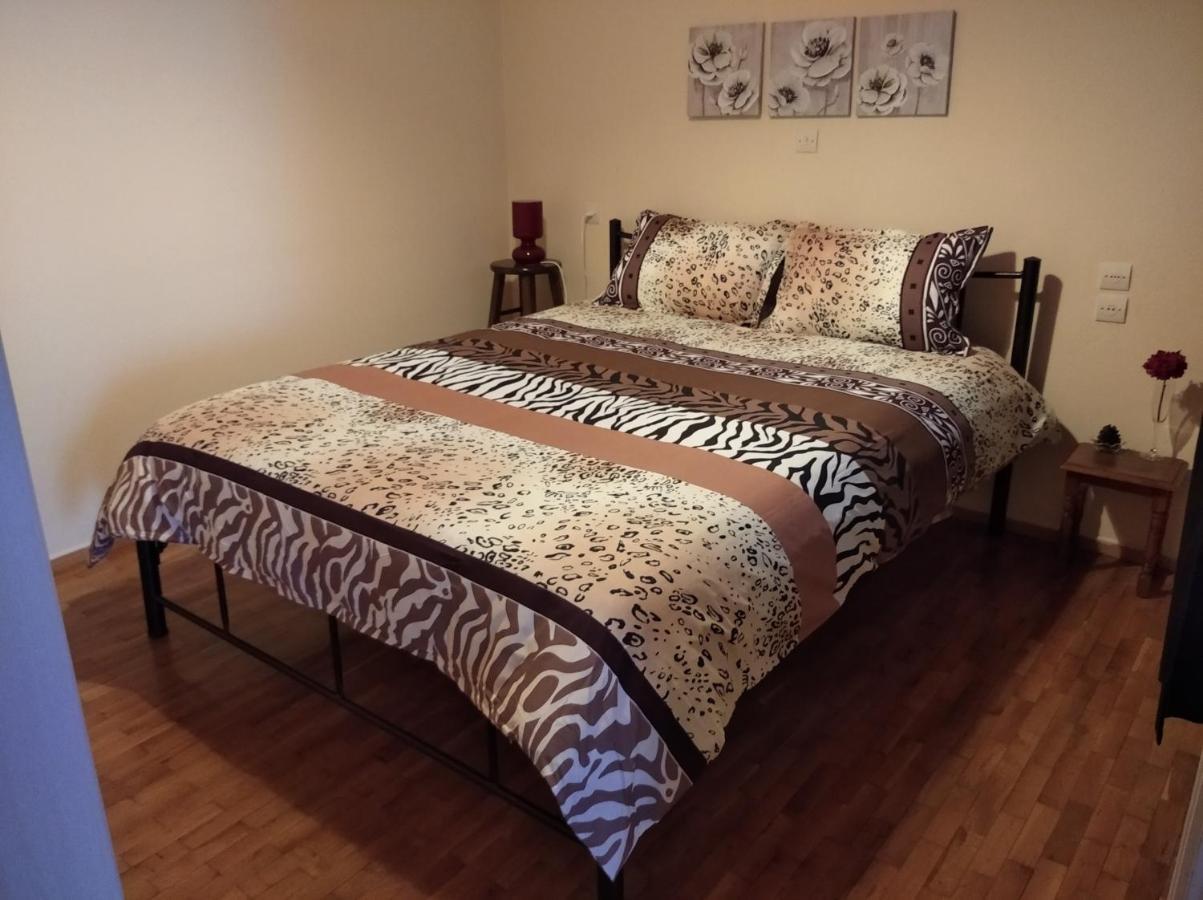 Niki'S House Άνετο Διαμ/Σμα 106Τμ 2 Υπνοδωματίων Apartman Vólosz Kültér fotó