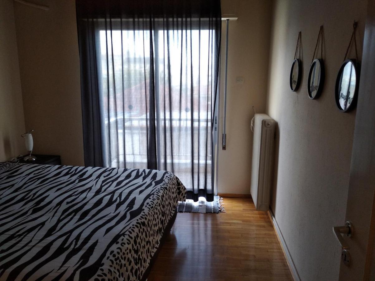 Niki'S House Άνετο Διαμ/Σμα 106Τμ 2 Υπνοδωματίων Apartman Vólosz Kültér fotó